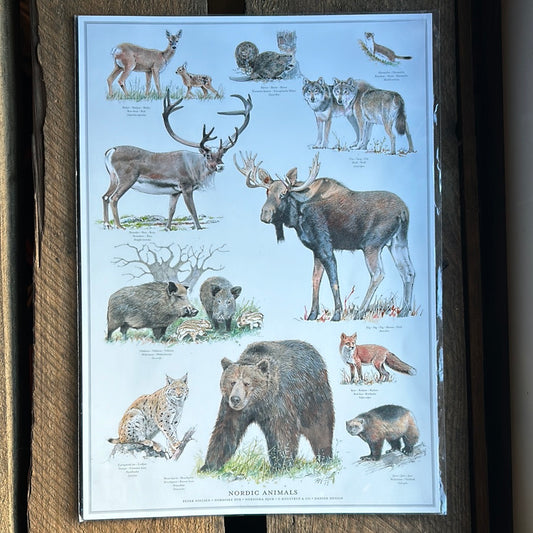 Nordic Animals Plakat