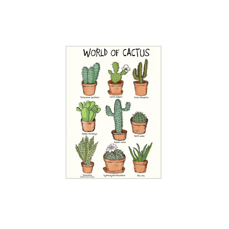 World of Cactus Kort